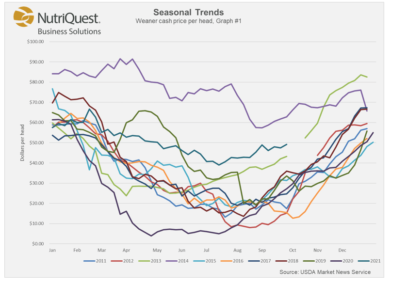CAB Insider Prime Ahead of Demand—For Now Drovers